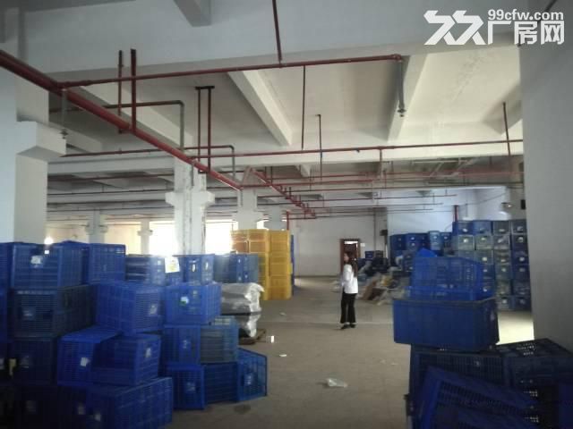 光明新区公明,独院3层标准厂房3000平,超大空地,离高速口1公里 - 2