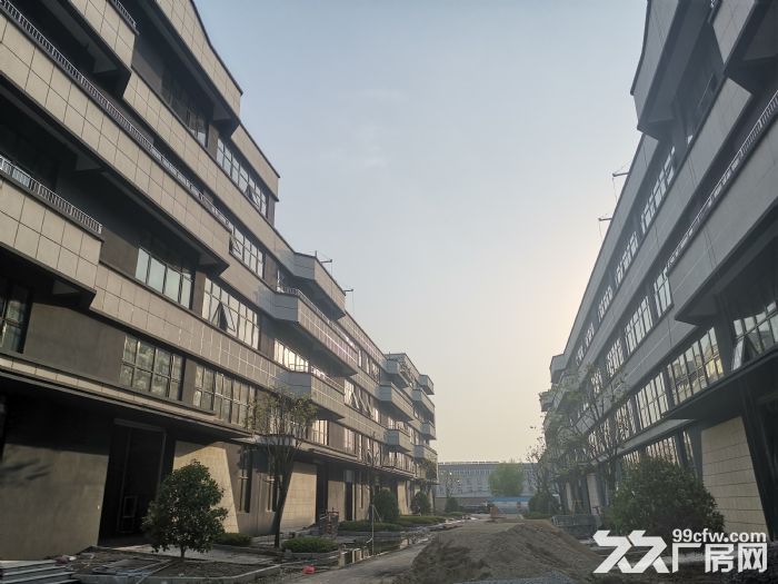 平湖上海交界处厂房出售50年产权 - 2