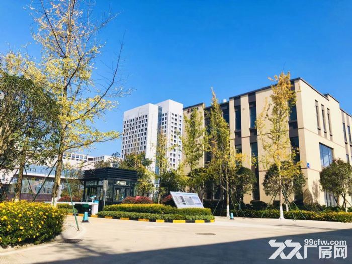 年底冲量,出售天府新区周边科技项目,独栋平层,1000起 - 2