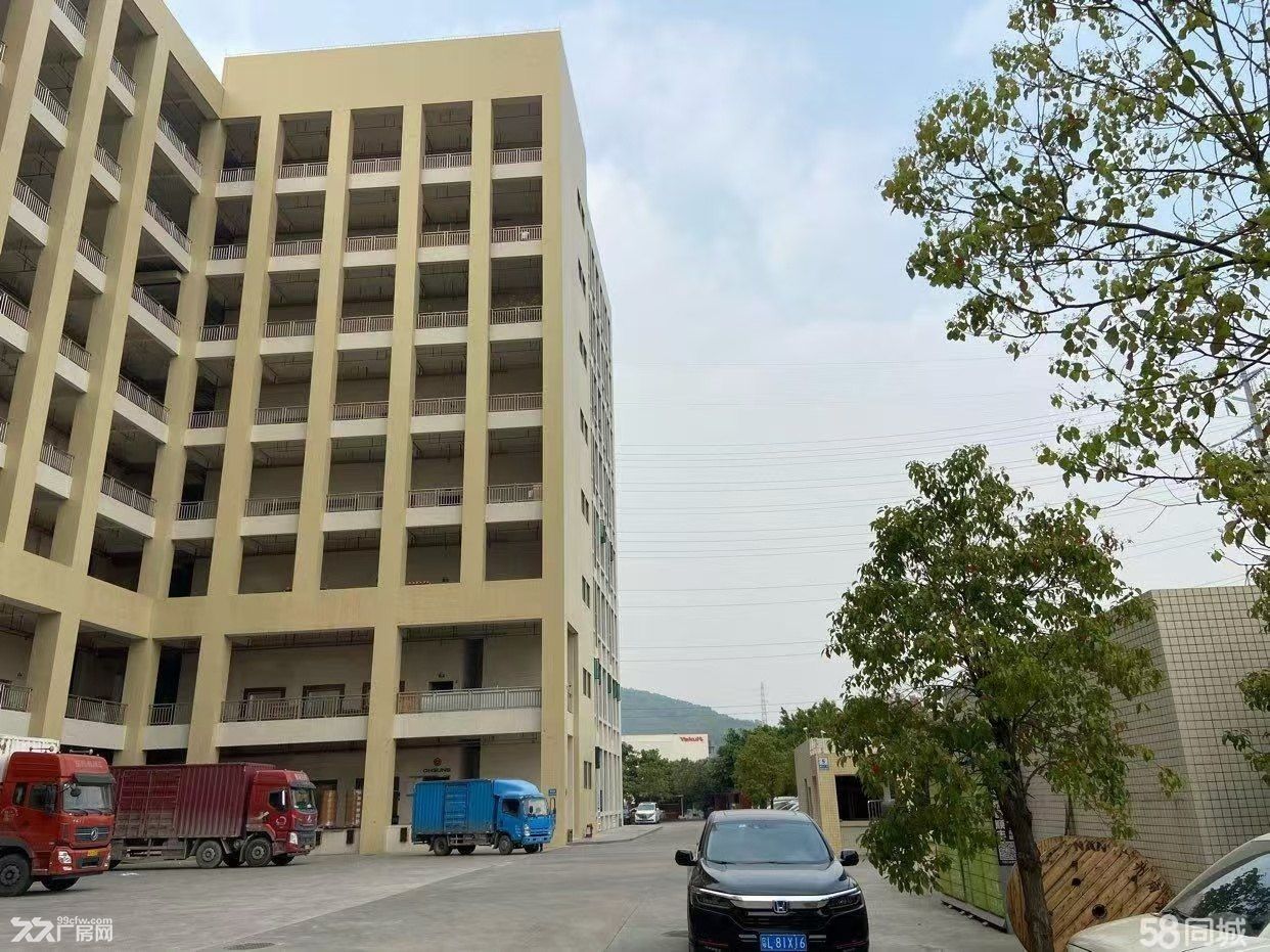 黄埔永和开发区 标准厂房 层高5.5米 原房东出租 价格便宜 自带卸货平台