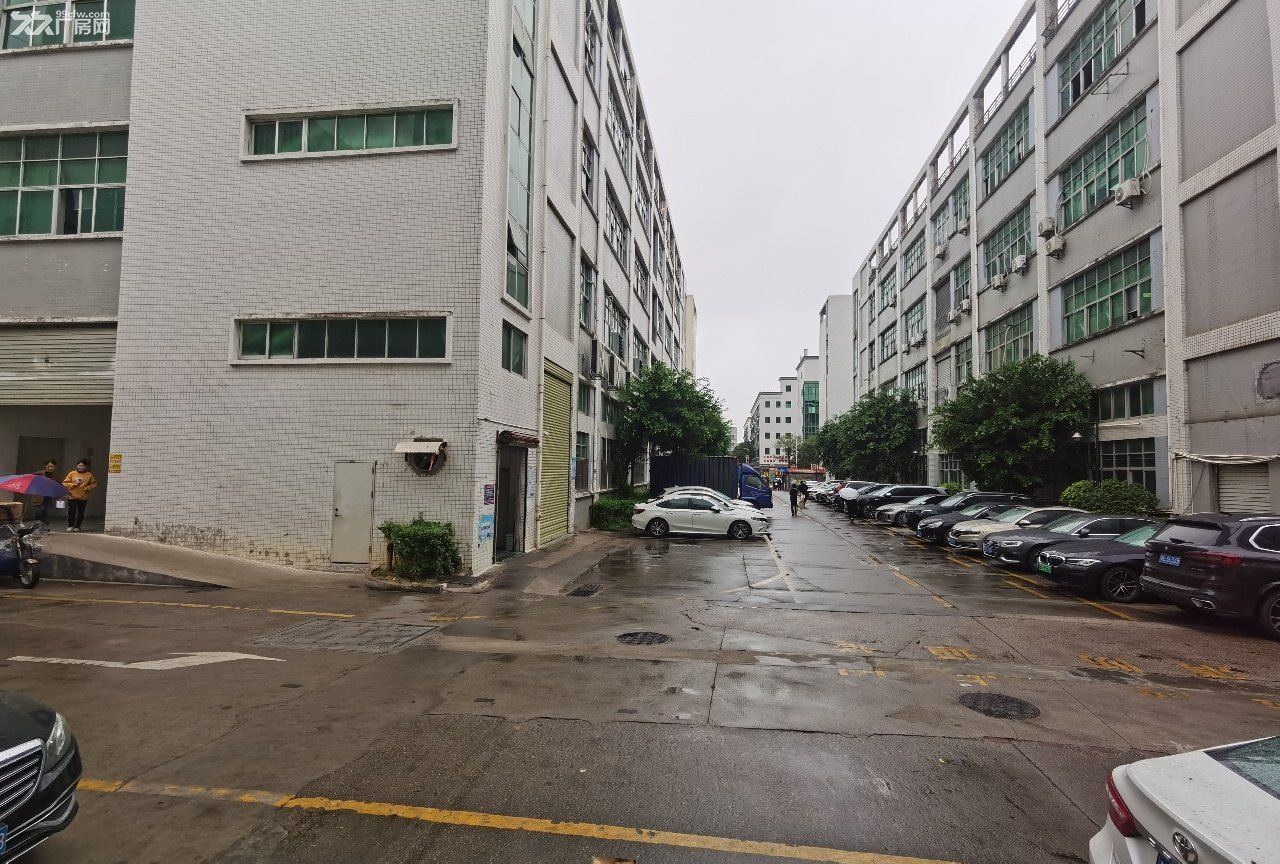 深圳龙华商业中心旁边一楼840平米一楼全新地坪漆厂房出租 - 4