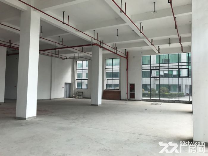 滨江1300方厂房出租，大货梯，适合淘宝服装设计展厅客户 - 6