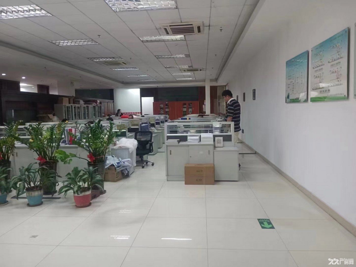 光明南光高速出口,原房东一二楼厂房,实际面积出租 - 6