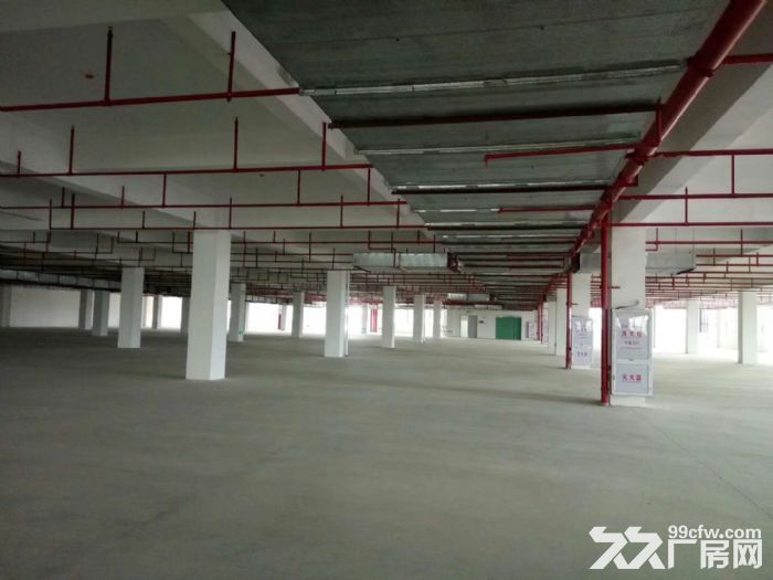 出租) 出租翔安马巷标准工业园厂房500到10000平出租) 出租翔安马巷标准工 - 2
