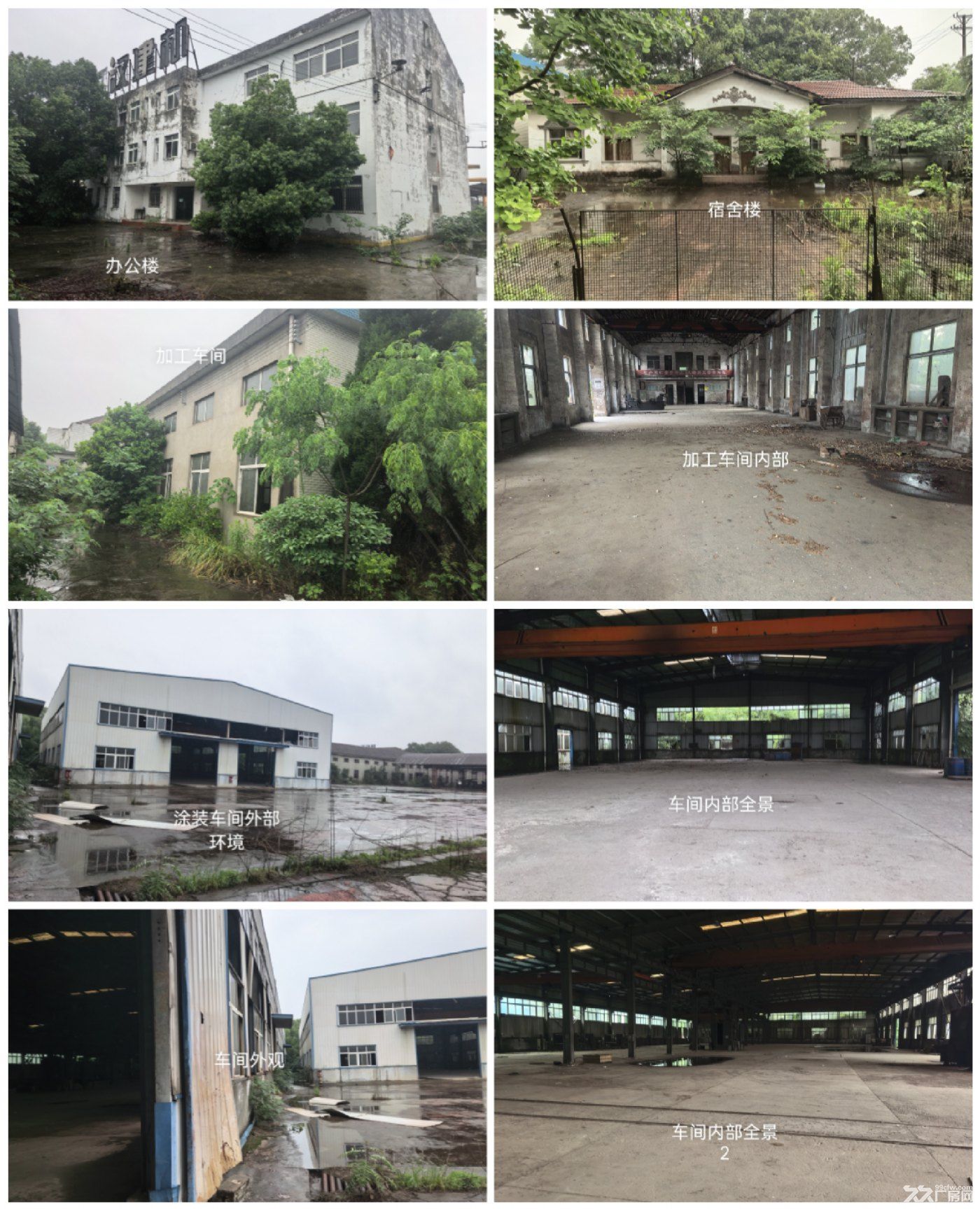 毛嘴高标准厂房整体出售 - 5