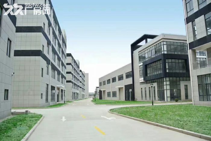 都会路向阳路104园区高标准的研发、展厅仓库 办公 - 3