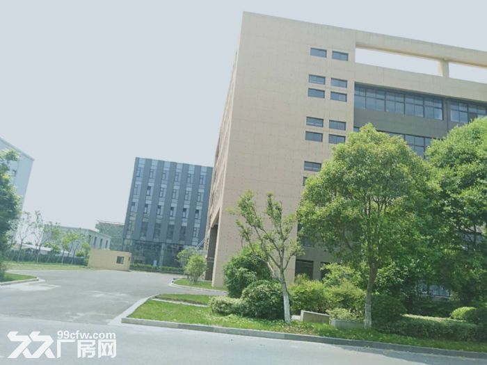 好消息厂房出售非中介 - 3