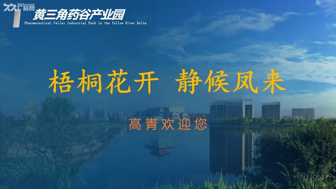 #绿天使集团#招商引资#绿天使企业出海服务#黄三角药谷产业园正在招商中
