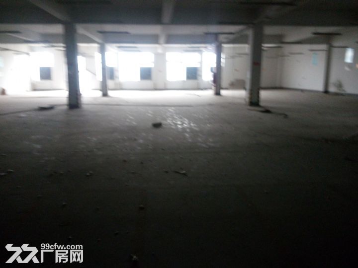 多层厂房出租，有1层1150平方，2层2300平方  可分租 - 2