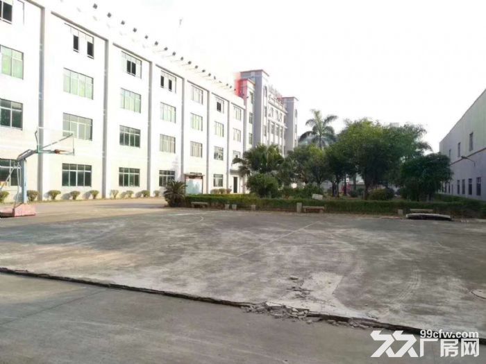 专业代理江门五邑地区厂房,仓库,地皮租售业务 - 7