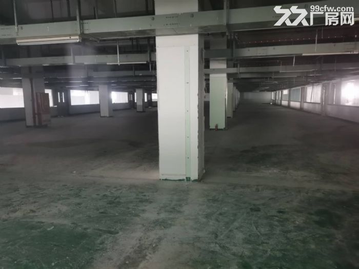 AA苏虹东路二楼6000平标准厂房  精装办公室 灵活分租