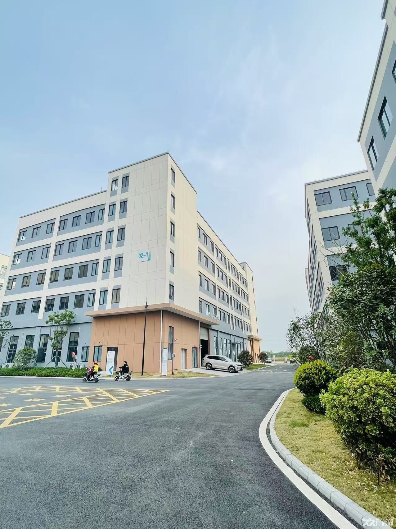 开发商直售 50年产权 独栋大平层 三字开头 有食堂 超大停车场 - 4