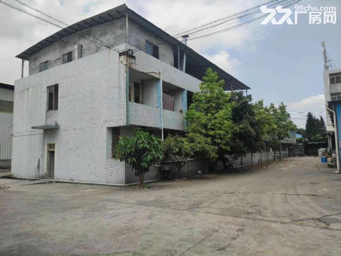 南沙东涌镇独院标准厂房,4600平,带宿舍,空地大,可办环评,租金便宜 - 2