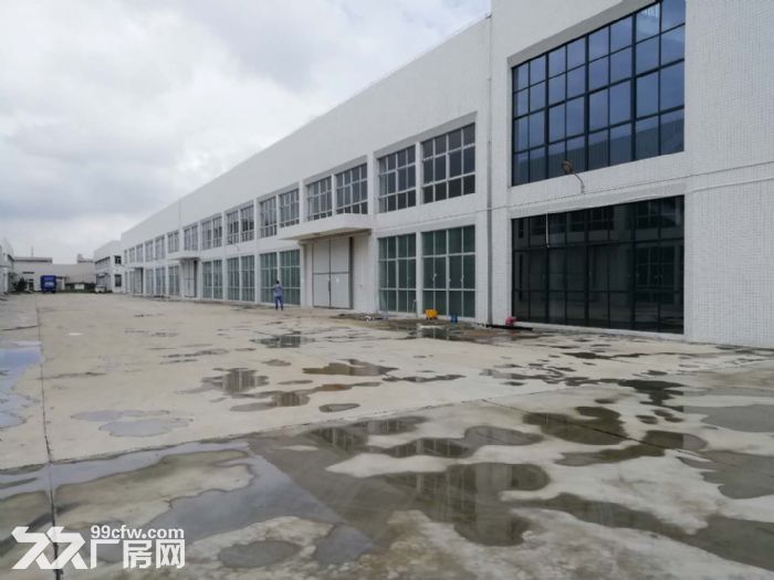 台山工业新城独院全新厂房16000方招租 - 3