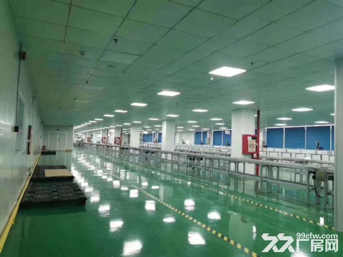 公明独门独院厂房出租7500方，精装修，现成洁净车间 水电齐 - 4