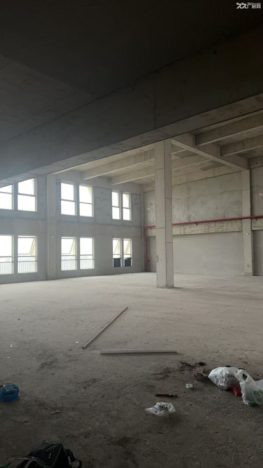 南京溧水东屏少量优质厂房 - 2