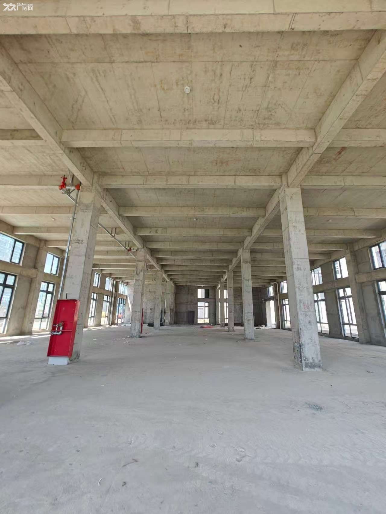 钱塘区政府旁全新厂房50年产权龙湖天街宝龙广场 - 3