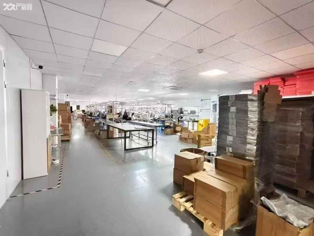 龙华商业中心新出花园式原房东厂房2000平厂房出租