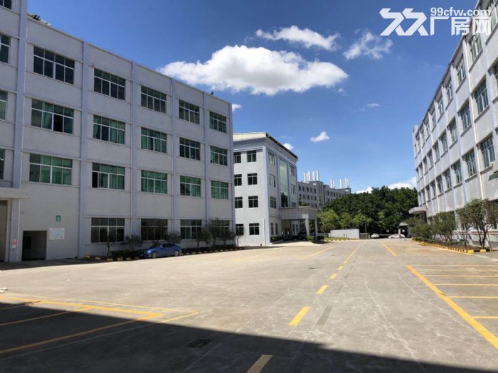 寮步华南城红本标准独院出租