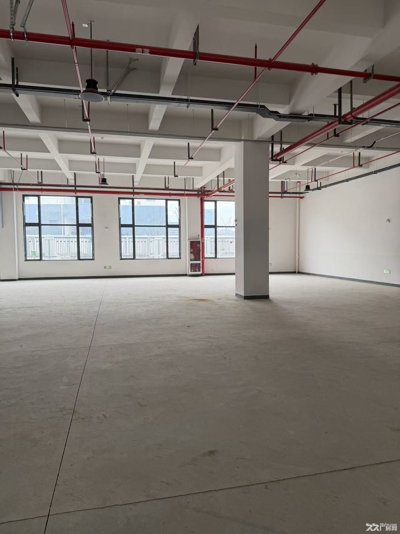 医械智造高地，标准厂房全球招商