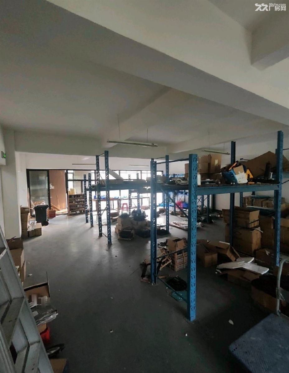 。房东直租:南翔独栋精装704平带露台地下车库通燃气行业不限制 - 4