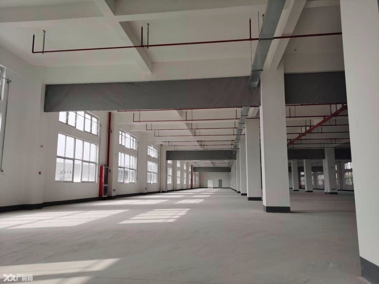 地铁口独门独院厂房仓库 办公 电商直播 展厅仓储物流组装加工 - 2