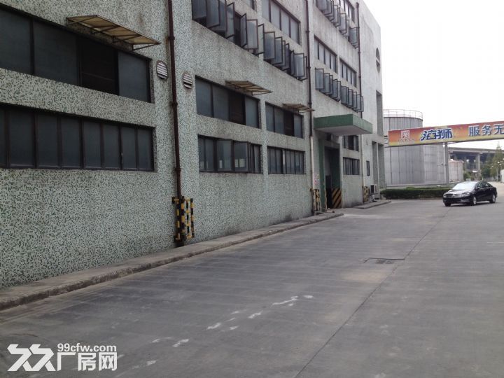 徐浦大桥附近10000平米标准仓库出租可分割 - 6
