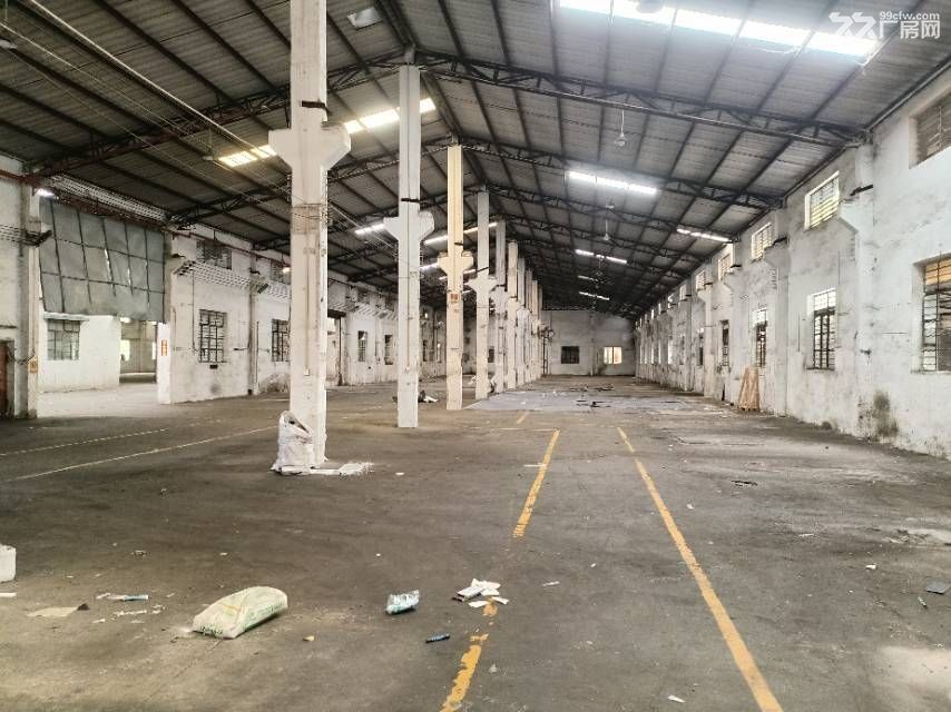5000方,大路边,形象好,狮山工业园独院厂房出租,配套齐 - 4