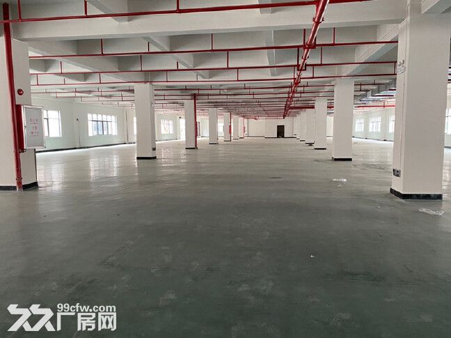惠阳镇隆甘陂工业园全新独栋厂房13000平,可分租,价格便宜 - 4