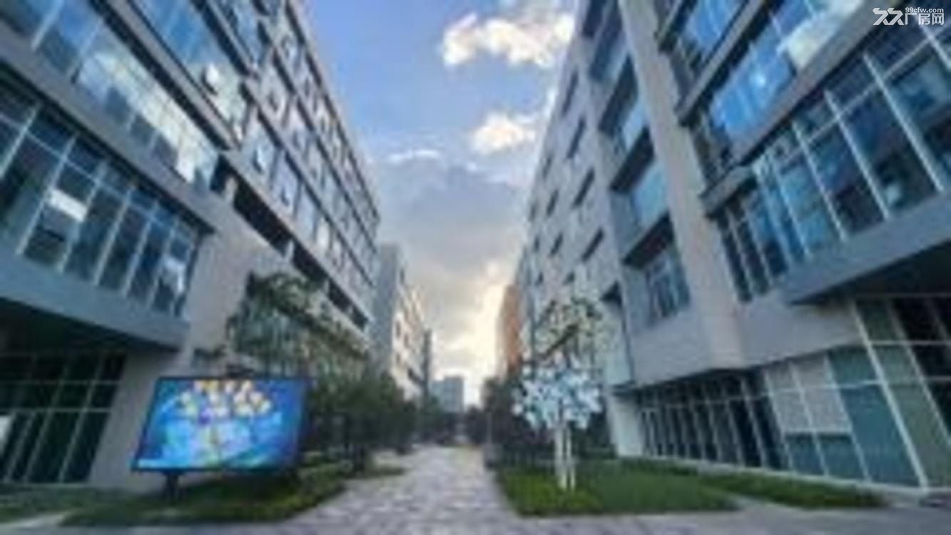 张江基因岛，104工业地块，国企运营，全新房源，专业服务