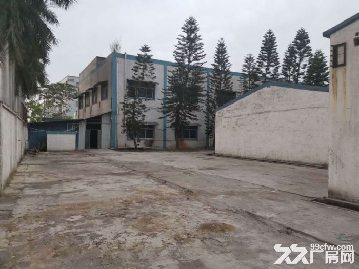 江门台山可做有气味,噪音,灰尘行业厂房出租 - 3