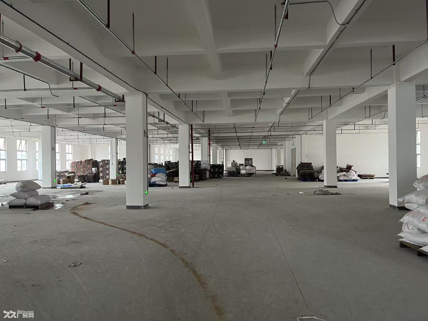 巴南区南彭公路物流基地标准食品厂房出租 - 7