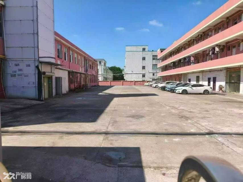 深圳市松岗大田洋标准独院出租 - 5