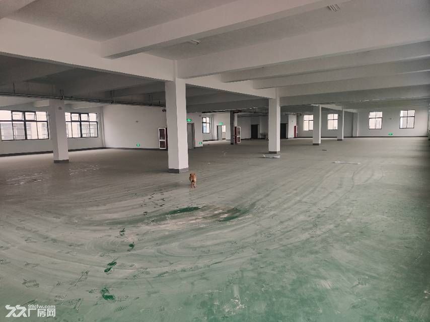 舒城县城关镇标准化厂房出租,价格美丽 - 3