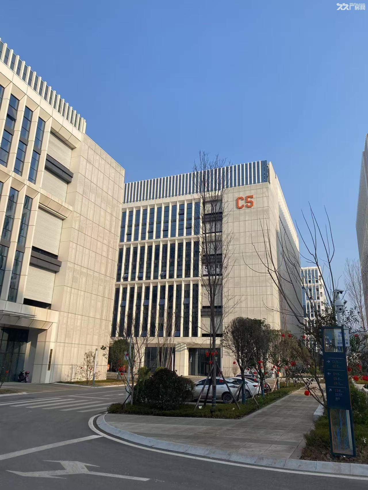 全新厂房出租,政策优惠力度大 - 2