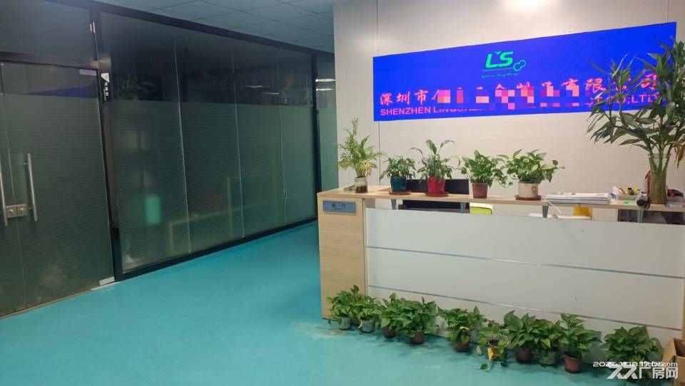 福永凤凰850平方带装修厂房招租,个人物业,非中介 - 5