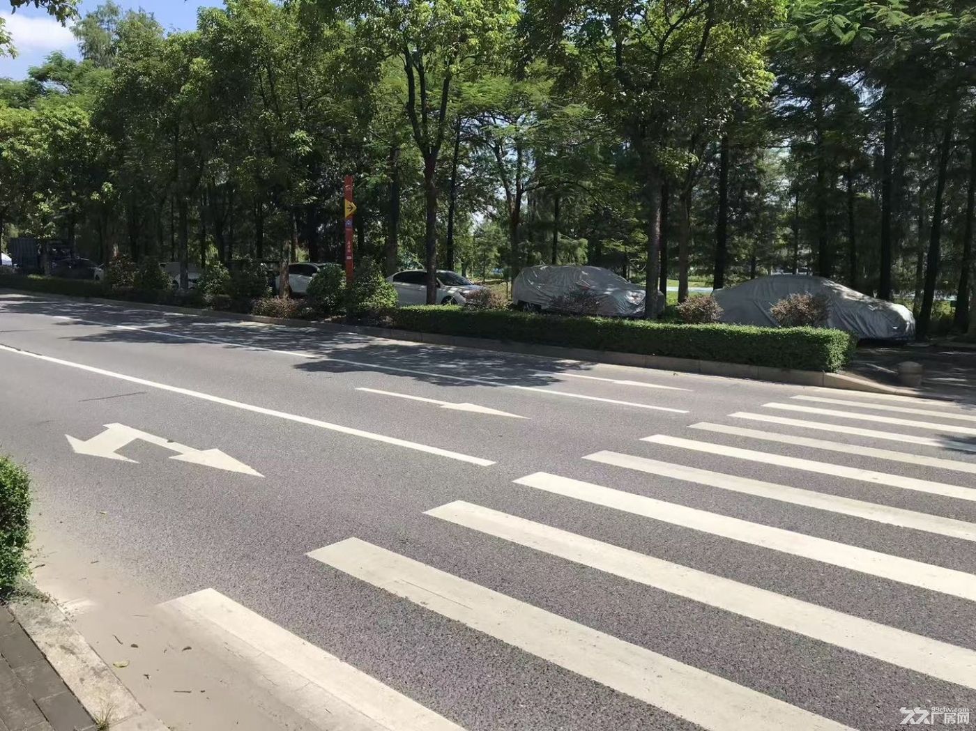 北滘镇高村地铁站D出口林上路边国有证厂房 - 3