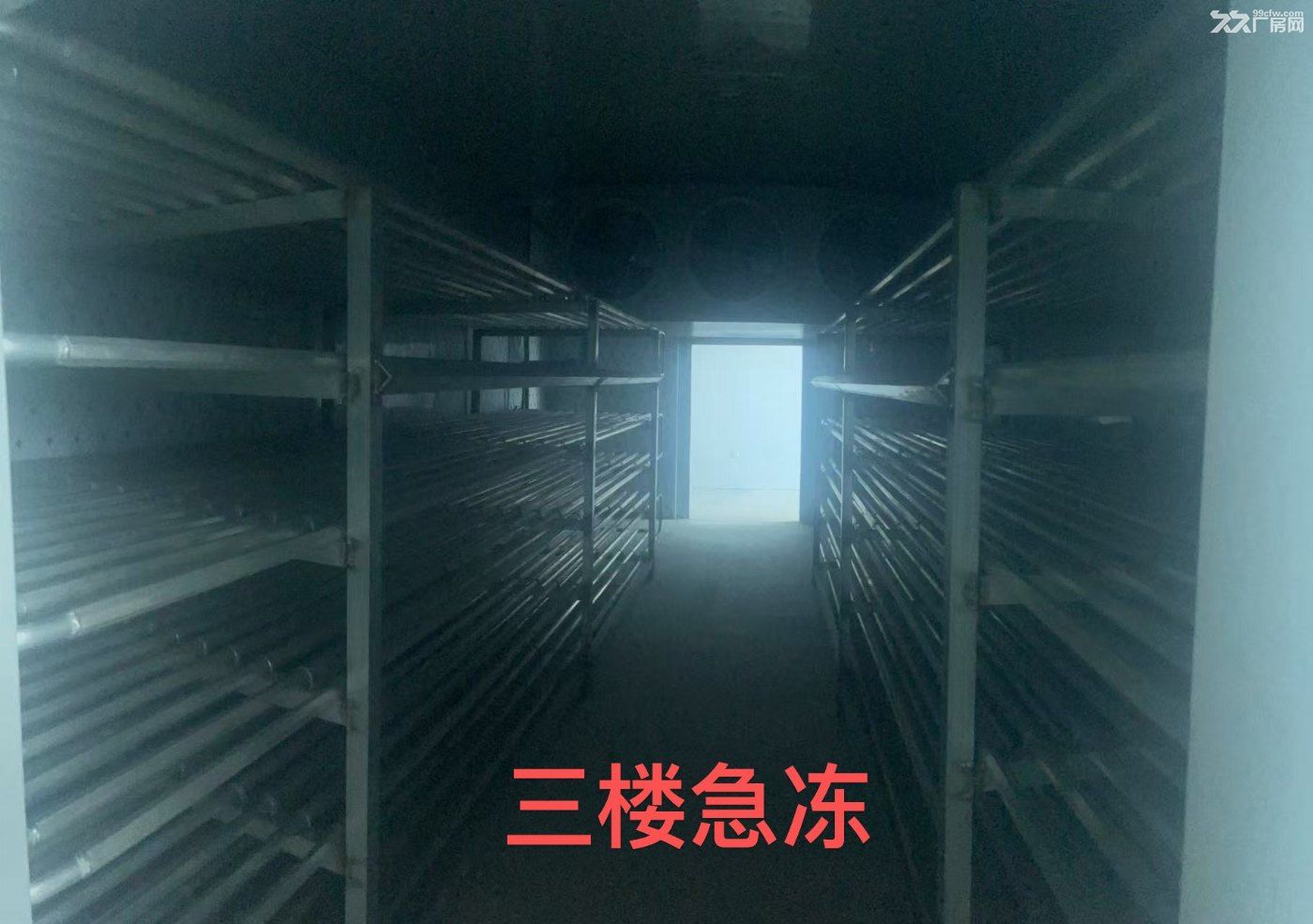 江津食品园现房可快速投产 - 4