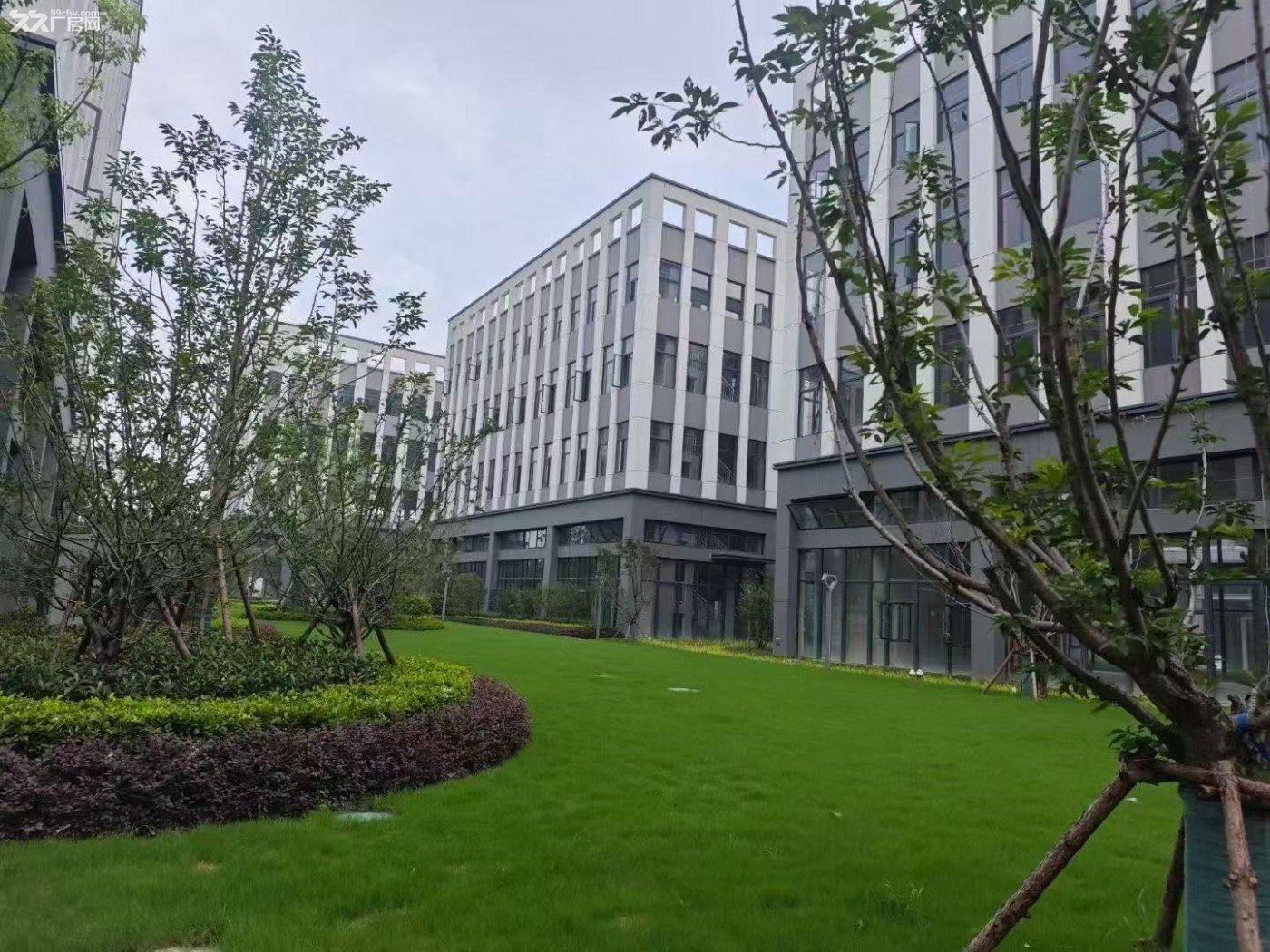集士港旁工业厂房直售 3600平起独栋 开发商直售 - 5