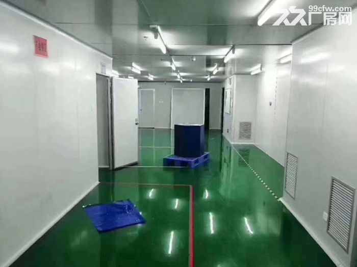 龙华大浪商业中心附近无尘车间1800平招租，红本厂房，无转让费 - 5