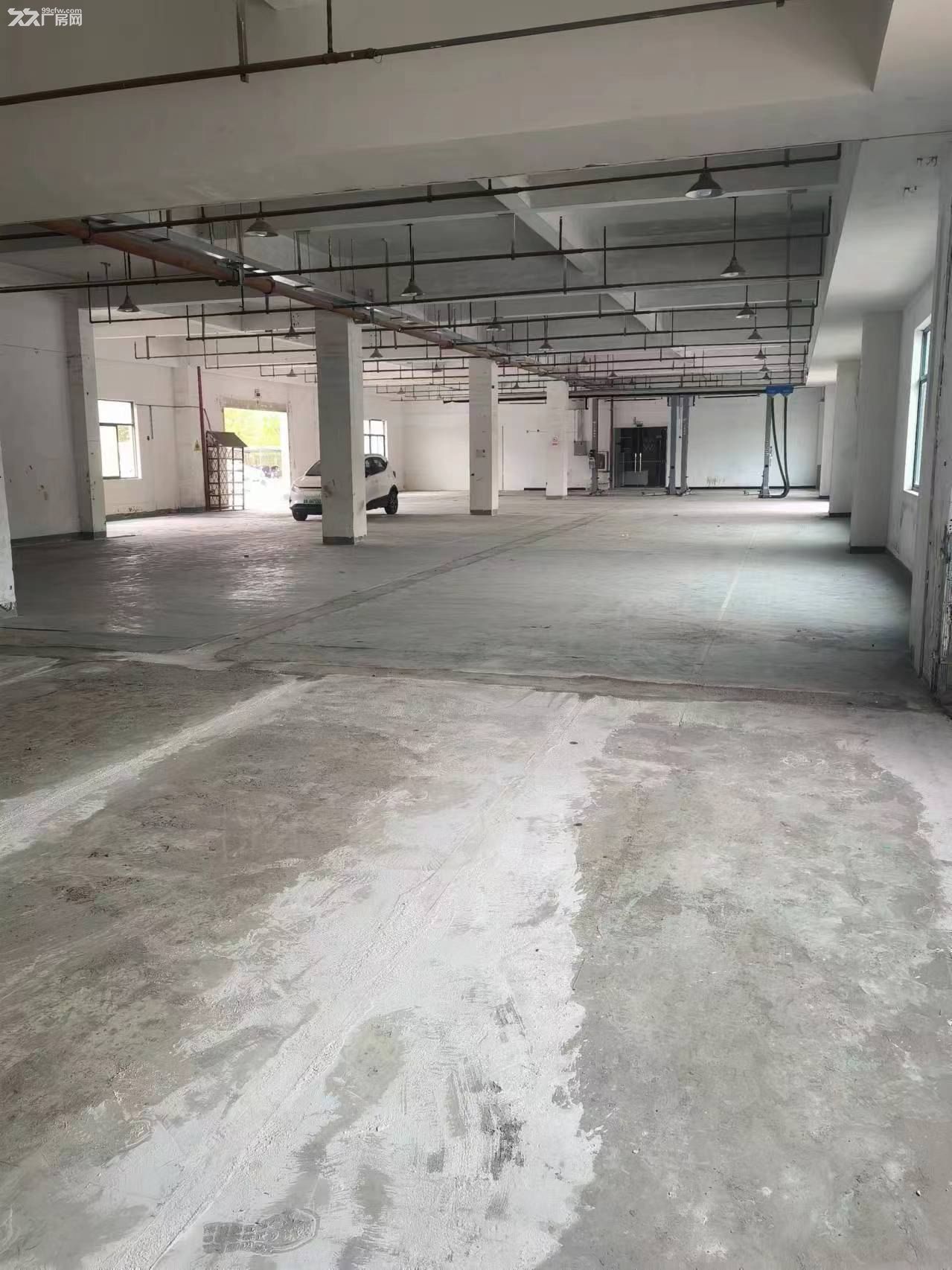 南汇园区520平标准厂房出租消防喷淋证件齐全104板块空地大 - 5