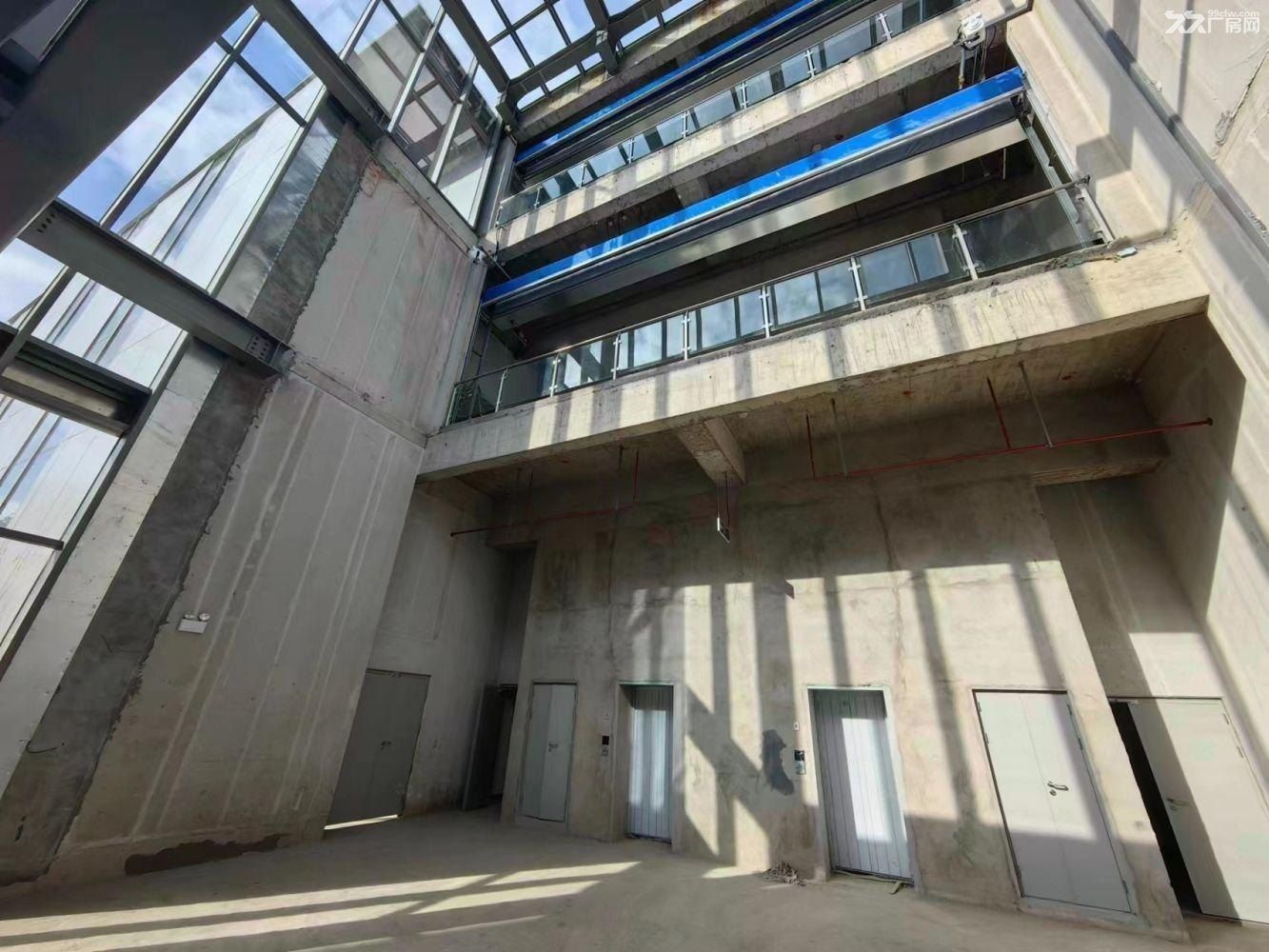 上海自由贸易试验区 外高桥保税区 全新研发生厂房 - 3