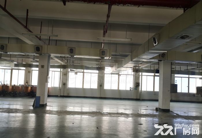黄埔区科学城南云路旁6500平标准厂房招租，可分租，性价比高 - 6