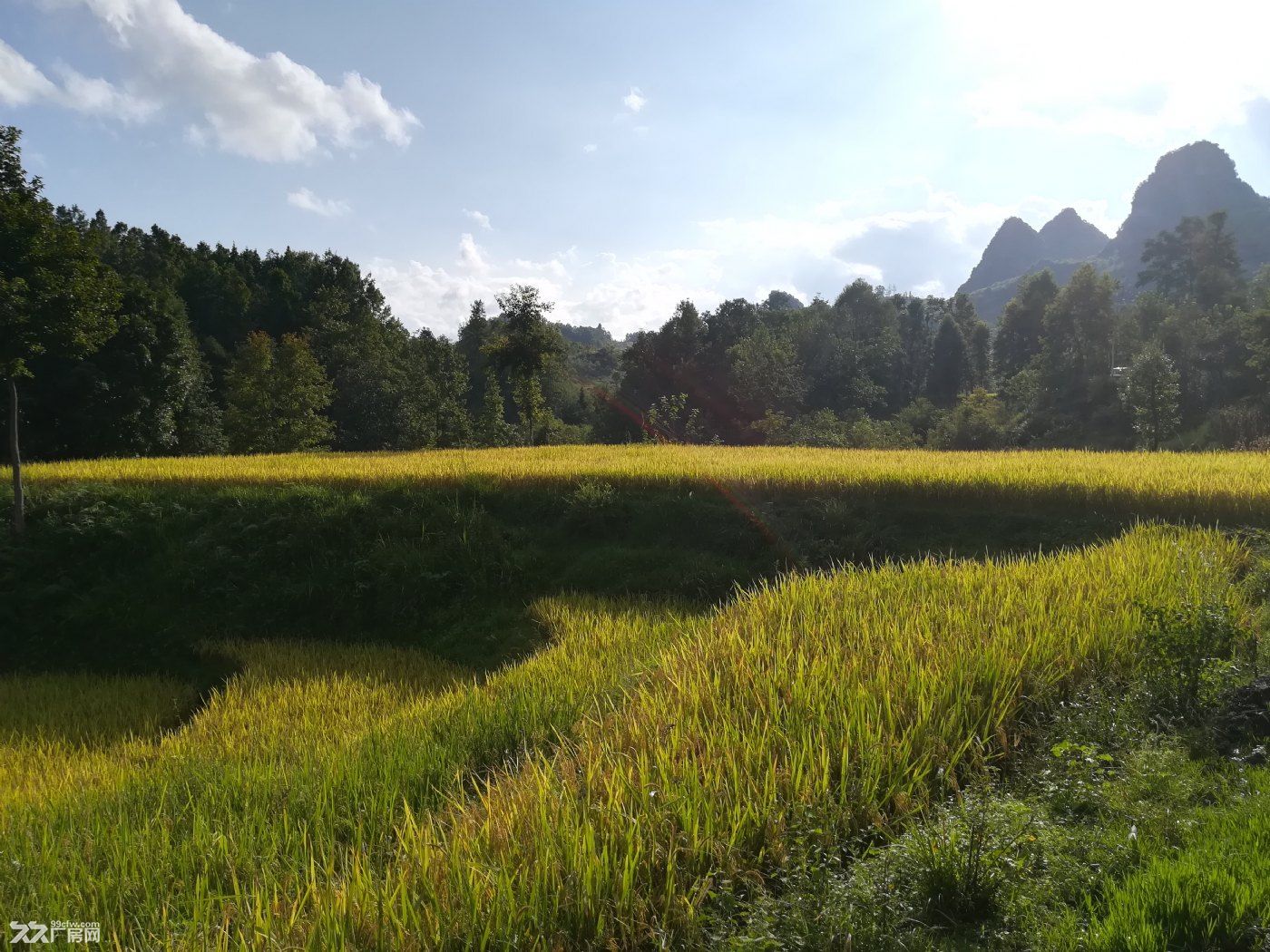 东莞市清溪镇８５０平方米氧化厂房出租 (正规氧化牌照)