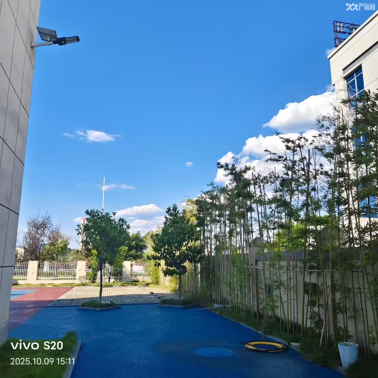 綦江自建花园厂房低价出租 - 5