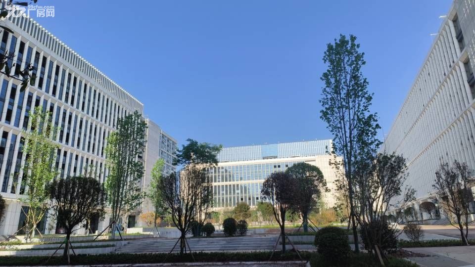 达州高新区品质厂房写字楼直租