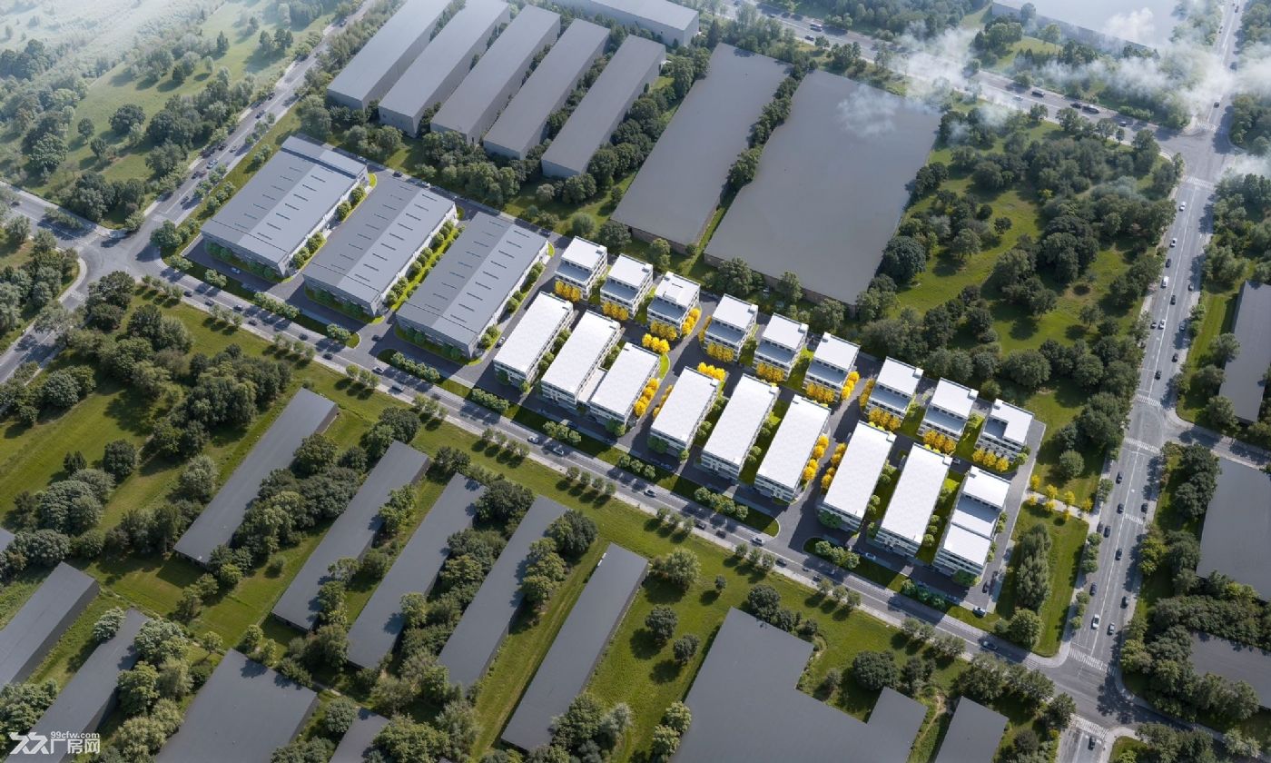 津南环线 800-2000m²多层单层厂房永旺商圈海教园 - 4