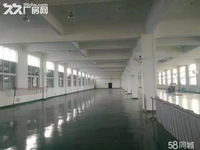滨海独门独院12000平院子大价格15适合各种不污染行业 - 2