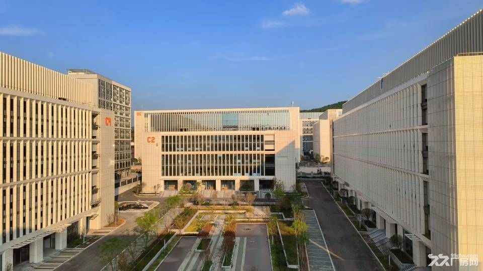 达州青网现有标准厂房出租 高品质 低租金 - 8