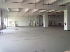 莘庄工业区170.270.340平米单层厂房出租 - 2